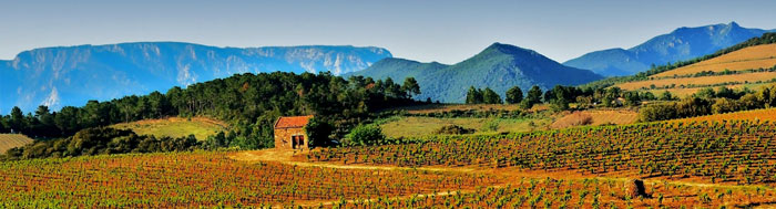 Vignoble du Berlou - Saint-Chinian - Roquebrun - Hérault, le Languedoc © Guy Lebreton